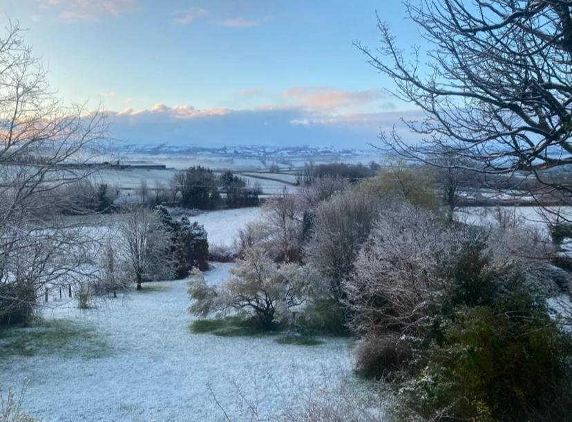 Pippin Lodge Llanwrda المظهر الخارجي الصورة