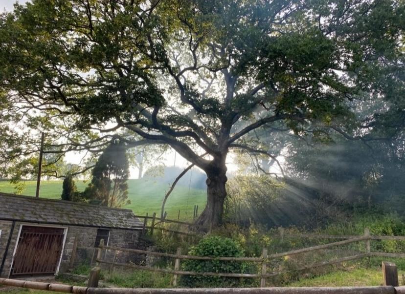 Pippin Lodge Llanwrda المظهر الخارجي الصورة