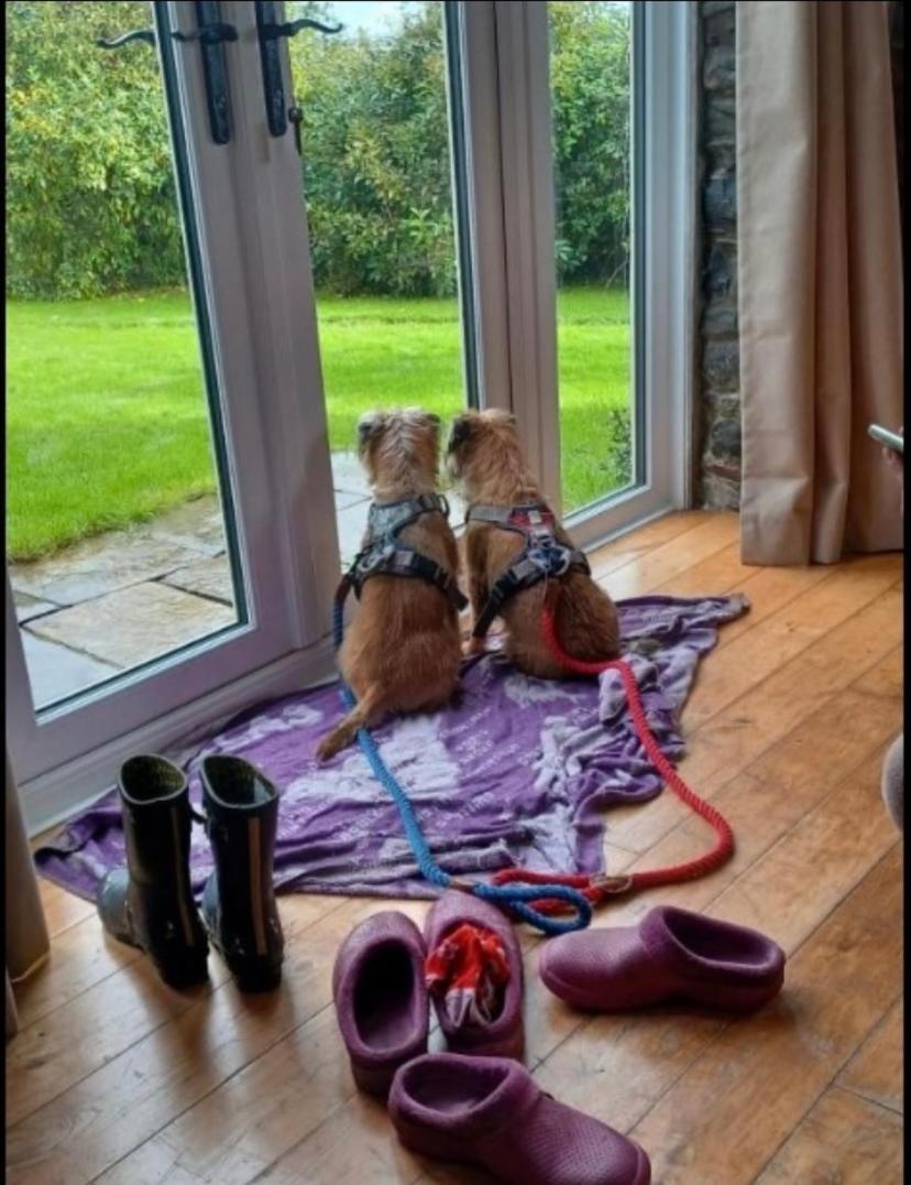 Pippin Lodge Llanwrda المظهر الخارجي الصورة