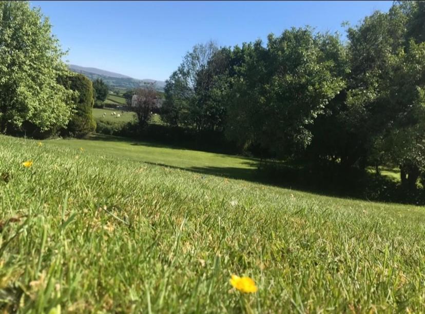 Pippin Lodge Llanwrda المظهر الخارجي الصورة